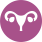 ginecologia